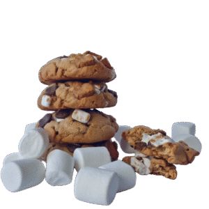 Smores Cookie - 1dz
